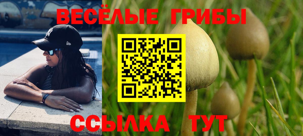 Псилоцибиновые грибы GOLDEN TEACHER  Вход с VPN  Бахчисарай 
